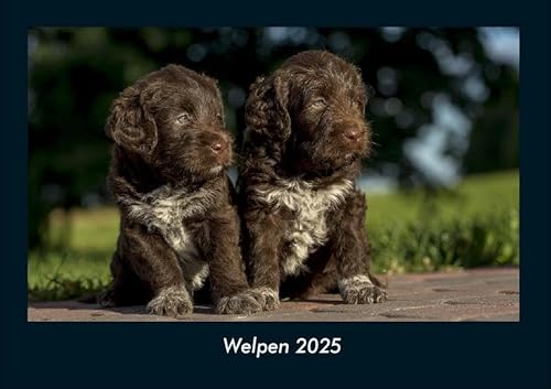 Welpen 2025 Fotokalender DIN A4: Monatskalender mit Bild-Motiven von Haustieren, Bauernhof, wilden Tieren und Raubtieren Welpen 2025 Fotokalender DIN A4: Monatskalender mit Bild-Motiven von Haustieren, Bauernhof, wilden Tieren und Raubtieren