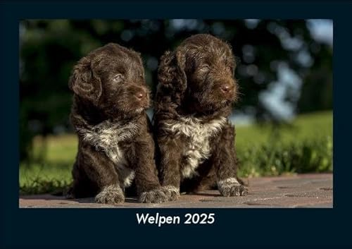 Welpen 2025 Fotokalender DIN A5: Monatskalender mit Bild-Motiven von Haustieren, Bauernhof, wilden Tieren und Raubtieren Welpen 2025 Fotokalender DIN A5: Monatskalender mit Bild-Motiven von Haustieren, Bauernhof, wilden Tieren und Raubtieren