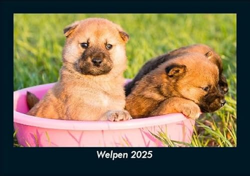 Welpen 2025 Fotokalender DIN A5: Monatskalender mit Bild-Motiven von Haustieren, Bauernhof, wilden Tieren und Raubtieren Welpen 2025 Fotokalender DIN A5: Monatskalender mit Bild-Motiven von Haustieren, Bauernhof, wilden Tieren und Raubtieren