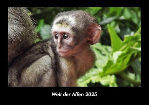 Welt der Affen 2025 Fotokalender DIN A3: Monatskalender mit Bild-Motiven von Haustieren, Bauernhof, wilden Tieren und Raubtieren Welt der Affen 2025 Fotokalender DIN A3: Monatskalender mit Bild-Motiven von Haustieren, Bauernhof, wilden Tieren und Raubtieren