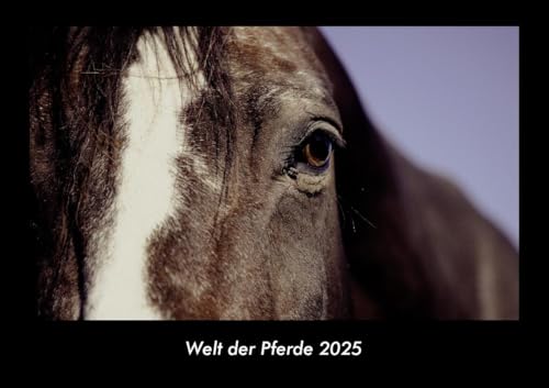 Welt der Pferde 2025 Fotokalender DIN A3: Monatskalender mit Bild-Motiven von Haustieren, Bauernhof, wilden Tieren und Raubtieren Welt der Pferde 2025 Fotokalender DIN A3: Monatskalender mit Bild-Motiven von Haustieren, Bauernhof, wilden Tieren und Raubtieren