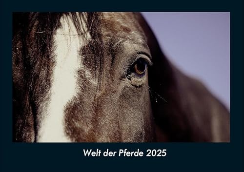 Welt der Pferde 2025 Fotokalender DIN A4: Monatskalender mit Bild-Motiven von Haustieren, Bauernhof, wilden Tieren und Raubtieren Welt der Pferde 2025 Fotokalender DIN A4: Monatskalender mit Bild-Motiven von Haustieren, Bauernhof, wilden Tieren und Raubtieren