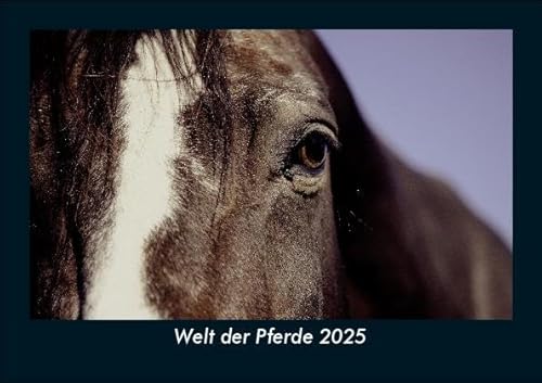 Welt der Pferde 2025 Fotokalender DIN A5: Monatskalender mit Bild-Motiven von Haustieren, Bauernhof, wilden Tieren und Raubtieren Welt der Pferde 2025 Fotokalender DIN A5: Monatskalender mit Bild-Motiven von Haustieren, Bauernhof, wilden Tieren und Raubtieren