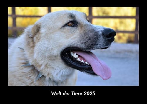 Welt der Tiere 2025 Fotokalender DIN A3: Monatskalender mit Bild-Motiven von Haustieren, Bauernhof, wilden Tieren und Raubtieren Welt der Tiere 2025 Fotokalender DIN A3: Monatskalender mit Bild-Motiven von Haustieren, Bauernhof, wilden Tieren und Raubtieren