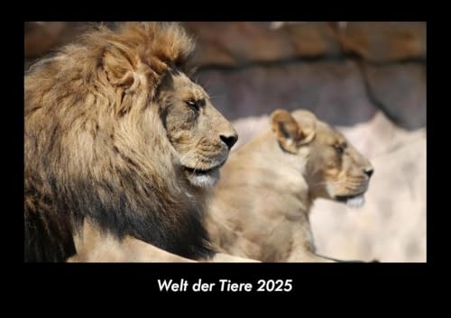 Welt der Tiere 2025 Fotokalender DIN A3: Monatskalender mit Bild-Motiven von Haustieren, Bauernhof, wilden Tieren und Raubtieren Welt der Tiere 2025 Fotokalender DIN A3: Monatskalender mit Bild-Motiven von Haustieren, Bauernhof, wilden Tieren und Raubtieren