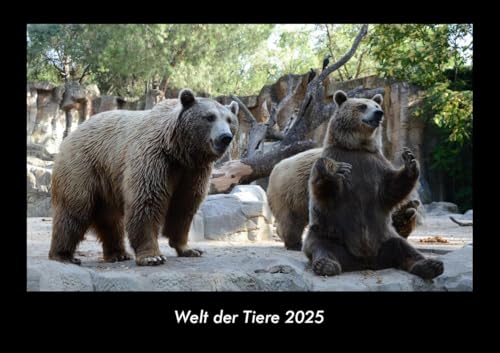 Welt der Tiere 2025 Fotokalender DIN A3: Monatskalender mit Bild-Motiven von Haustieren, Bauernhof, wilden Tieren und Raubtieren Welt der Tiere 2025 Fotokalender DIN A3: Monatskalender mit Bild-Motiven von Haustieren, Bauernhof, wilden Tieren und Raubtieren