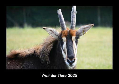 Welt der Tiere 2025 Fotokalender DIN A3: Monatskalender mit Bild-Motiven von Haustieren, Bauernhof, wilden Tieren und Raubtieren Welt der Tiere 2025 Fotokalender DIN A3: Monatskalender mit Bild-Motiven von Haustieren, Bauernhof, wilden Tieren und Raubtieren
