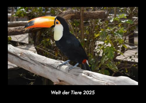 Welt der Tiere 2025 Fotokalender DIN A3: Monatskalender mit Bild-Motiven von Haustieren, Bauernhof, wilden Tieren und Raubtieren Welt der Tiere 2025 Fotokalender DIN A3: Monatskalender mit Bild-Motiven von Haustieren, Bauernhof, wilden Tieren und Raubtieren