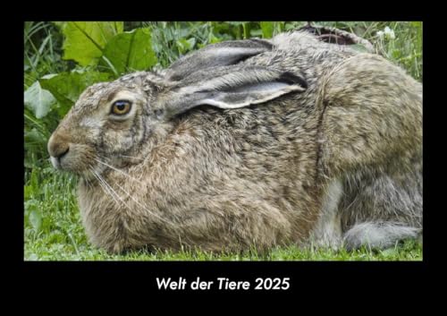 Welt der Tiere 2025 Fotokalender DIN A3: Monatskalender mit Bild-Motiven von Haustieren, Bauernhof, wilden Tieren und Raubtieren Welt der Tiere 2025 Fotokalender DIN A3: Monatskalender mit Bild-Motiven von Haustieren, Bauernhof, wilden Tieren und Raubtieren