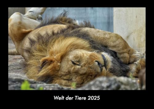Welt der Tiere 2025 Fotokalender DIN A3: Monatskalender mit Bild-Motiven von Haustieren, Bauernhof, wilden Tieren und Raubtieren Welt der Tiere 2025 Fotokalender DIN A3: Monatskalender mit Bild-Motiven von Haustieren, Bauernhof, wilden Tieren und Raubtieren