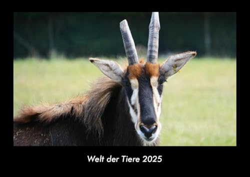 Welt der Tiere 2025 Fotokalender DIN A3: Monatskalender mit Bild-Motiven von Haustieren, Bauernhof, wilden Tieren und Raubtieren Welt der Tiere 2025 Fotokalender DIN A3: Monatskalender mit Bild-Motiven von Haustieren, Bauernhof, wilden Tieren und Raubtieren