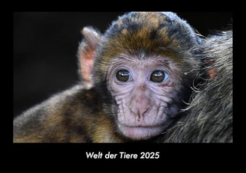 Welt der Tiere 2025 Fotokalender DIN A3: Monatskalender mit Bild-Motiven von Haustieren, Bauernhof, wilden Tieren und Raubtieren Welt der Tiere 2025 Fotokalender DIN A3: Monatskalender mit Bild-Motiven von Haustieren, Bauernhof, wilden Tieren und Raubtieren