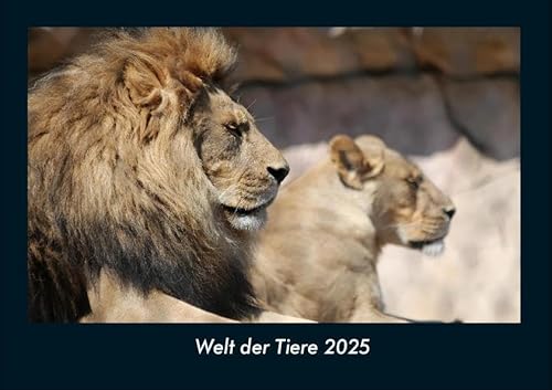 Welt der Tiere 2025 Fotokalender DIN A4: Monatskalender mit Bild-Motiven von Haustieren, Bauernhof, wilden Tieren und Raubtieren Welt der Tiere 2025 Fotokalender DIN A4: Monatskalender mit Bild-Motiven von Haustieren, Bauernhof, wilden Tieren und Raubtieren