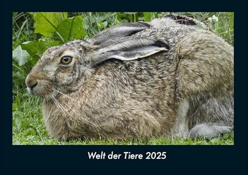 Welt der Tiere 2025 Fotokalender DIN A4: Monatskalender mit Bild-Motiven von Haustieren, Bauernhof, wilden Tieren und Raubtieren Welt der Tiere 2025 Fotokalender DIN A4: Monatskalender mit Bild-Motiven von Haustieren, Bauernhof, wilden Tieren und Raubtieren