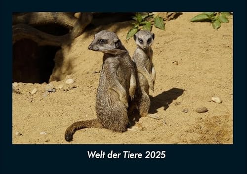Welt der Tiere 2025 Fotokalender DIN A4: Monatskalender mit Bild-Motiven von Haustieren, Bauernhof, wilden Tieren und Raubtieren Welt der Tiere 2025 Fotokalender DIN A4: Monatskalender mit Bild-Motiven von Haustieren, Bauernhof, wilden Tieren und Raubtieren