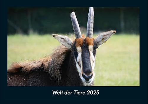 Welt der Tiere 2025 Fotokalender DIN A4: Monatskalender mit Bild-Motiven von Haustieren, Bauernhof, wilden Tieren und Raubtieren Welt der Tiere 2025 Fotokalender DIN A4: Monatskalender mit Bild-Motiven von Haustieren, Bauernhof, wilden Tieren und Raubtieren