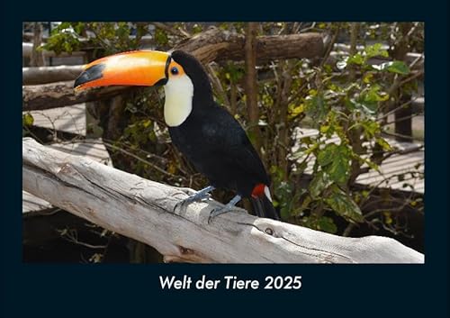 Welt der Tiere 2025 Fotokalender DIN A4: Monatskalender mit Bild-Motiven von Haustieren, Bauernhof, wilden Tieren und Raubtieren Welt der Tiere 2025 Fotokalender DIN A4: Monatskalender mit Bild-Motiven von Haustieren, Bauernhof, wilden Tieren und Raubtieren