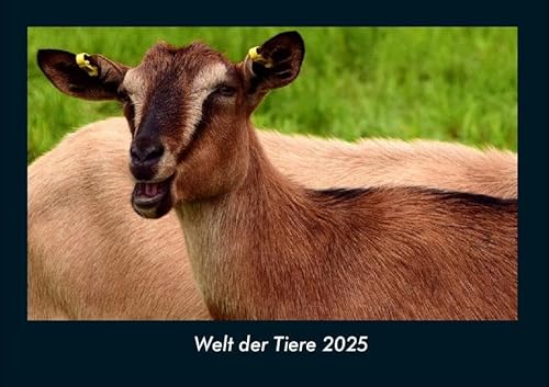 Welt der Tiere 2025 Fotokalender DIN A4: Monatskalender mit Bild-Motiven von Haustieren, Bauernhof, wilden Tieren und Raubtieren Welt der Tiere 2025 Fotokalender DIN A4: Monatskalender mit Bild-Motiven von Haustieren, Bauernhof, wilden Tieren und Raubtieren
