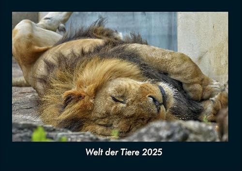 Welt der Tiere 2025 Fotokalender DIN A4: Monatskalender mit Bild-Motiven von Haustieren, Bauernhof, wilden Tieren und Raubtieren Welt der Tiere 2025 Fotokalender DIN A4: Monatskalender mit Bild-Motiven von Haustieren, Bauernhof, wilden Tieren und Raubtieren