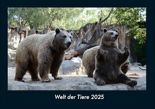 Welt der Tiere 2025 Fotokalender DIN A4: Monatskalender mit Bild-Motiven von Haustieren, Bauernhof, wilden Tieren und Raubtieren Welt der Tiere 2025 Fotokalender DIN A4: Monatskalender mit Bild-Motiven von Haustieren, Bauernhof, wilden Tieren und Raubtieren