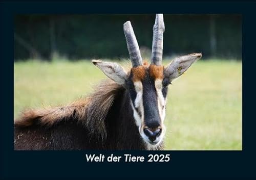 Welt der Tiere 2025 Fotokalender DIN A5: Monatskalender mit Bild-Motiven von Haustieren, Bauernhof, wilden Tieren und Raubtieren Welt der Tiere 2025 Fotokalender DIN A5: Monatskalender mit Bild-Motiven von Haustieren, Bauernhof, wilden Tieren und Raubtieren