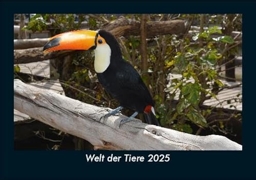 Welt der Tiere 2025 Fotokalender DIN A5: Monatskalender mit Bild-Motiven von Haustieren, Bauernhof, wilden Tieren und Raubtieren Welt der Tiere 2025 Fotokalender DIN A5: Monatskalender mit Bild-Motiven von Haustieren, Bauernhof, wilden Tieren und Raubtieren