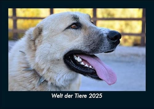 Welt der Tiere 2025 Fotokalender DIN A5: Monatskalender mit Bild-Motiven von Haustieren, Bauernhof, wilden Tieren und Raubtieren Welt der Tiere 2025 Fotokalender DIN A5: Monatskalender mit Bild-Motiven von Haustieren, Bauernhof, wilden Tieren und Raubtieren