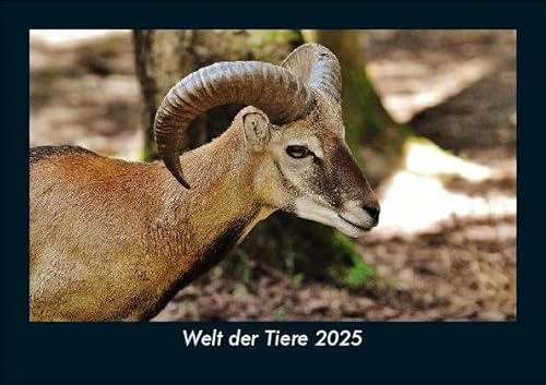 Welt der Tiere 2025 Fotokalender DIN A5: Monatskalender mit Bild-Motiven von Haustieren, Bauernhof, wilden Tieren und Raubtieren Welt der Tiere 2025 Fotokalender DIN A5: Monatskalender mit Bild-Motiven von Haustieren, Bauernhof, wilden Tieren und Raubtieren