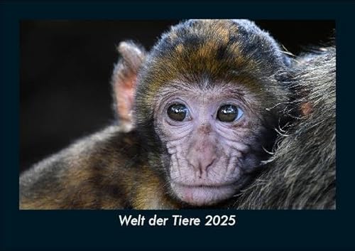 Welt der Tiere 2025 Fotokalender DIN A5: Monatskalender mit Bild-Motiven von Haustieren, Bauernhof, wilden Tieren und Raubtieren Welt der Tiere 2025 Fotokalender DIN A5: Monatskalender mit Bild-Motiven von Haustieren, Bauernhof, wilden Tieren und Raubtieren