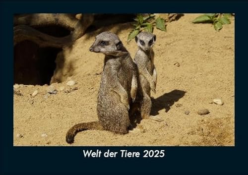 Welt der Tiere 2025 Fotokalender DIN A5: Monatskalender mit Bild-Motiven von Haustieren, Bauernhof, wilden Tieren und Raubtieren Welt der Tiere 2025 Fotokalender DIN A5: Monatskalender mit Bild-Motiven von Haustieren, Bauernhof, wilden Tieren und Raubtieren