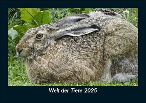 Welt der Tiere 2025 Fotokalender DIN A5: Monatskalender mit Bild-Motiven von Haustieren, Bauernhof, wilden Tieren und Raubtieren Welt der Tiere 2025 Fotokalender DIN A5: Monatskalender mit Bild-Motiven von Haustieren, Bauernhof, wilden Tieren und Raubtieren