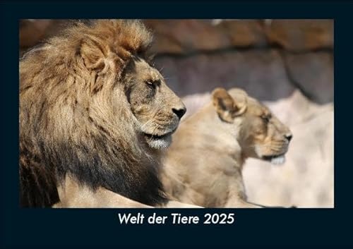 Welt der Tiere 2025 Fotokalender DIN A5: Monatskalender mit Bild-Motiven von Haustieren, Bauernhof, wilden Tieren und Raubtieren Welt der Tiere 2025 Fotokalender DIN A5: Monatskalender mit Bild-Motiven von Haustieren, Bauernhof, wilden Tieren und Raubtieren von Vero Kalender