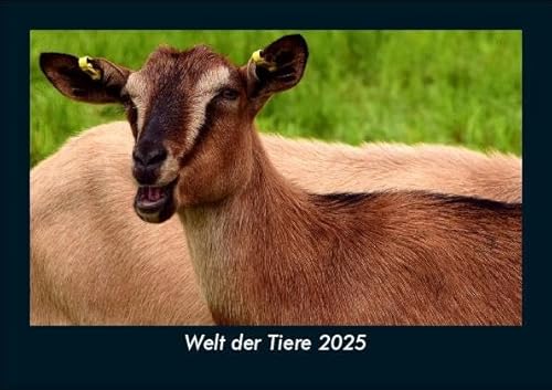 Welt der Tiere 2025 Fotokalender DIN A5: Monatskalender mit Bild-Motiven von Haustieren, Bauernhof, wilden Tieren und Raubtieren Welt der Tiere 2025 Fotokalender DIN A5: Monatskalender mit Bild-Motiven von Haustieren, Bauernhof, wilden Tieren und Raubtieren