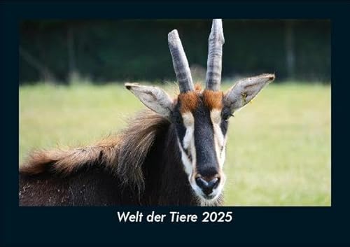 Welt der Tiere 2025 Fotokalender DIN A5: Monatskalender mit Bild-Motiven von Haustieren, Bauernhof, wilden Tieren und Raubtieren Welt der Tiere 2025 Fotokalender DIN A5: Monatskalender mit Bild-Motiven von Haustieren, Bauernhof, wilden Tieren und Raubtieren