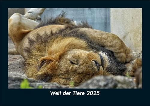 Welt der Tiere 2025 Fotokalender DIN A5: Monatskalender mit Bild-Motiven von Haustieren, Bauernhof, wilden Tieren und Raubtieren Welt der Tiere 2025 Fotokalender DIN A5: Monatskalender mit Bild-Motiven von Haustieren, Bauernhof, wilden Tieren und Raubtieren