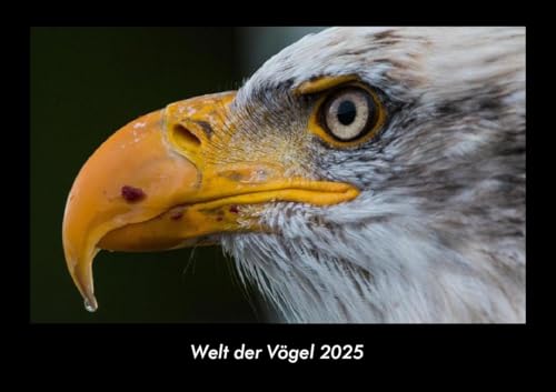 Welt der Vögel 2025 Fotokalender DIN A3: Monatskalender mit Bild-Motiven von Haustieren, Bauernhof, wilden Tieren und Raubtieren Welt der Vögel 2025 Fotokalender DIN A3: Monatskalender mit Bild-Motiven von Haustieren, Bauernhof, wilden Tieren und Raubtieren