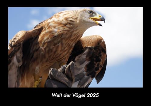 Welt der Vögel 2025 Fotokalender DIN A3: Monatskalender mit Bild-Motiven von Haustieren, Bauernhof, wilden Tieren und Raubtieren Welt der Vögel 2025 Fotokalender DIN A3: Monatskalender mit Bild-Motiven von Haustieren, Bauernhof, wilden Tieren und Raubtieren