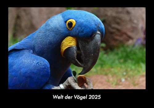 Welt der Vögel 2025 Fotokalender DIN A3: Monatskalender mit Bild-Motiven von Haustieren, Bauernhof, wilden Tieren und Raubtieren Welt der Vögel 2025 Fotokalender DIN A3: Monatskalender mit Bild-Motiven von Haustieren, Bauernhof, wilden Tieren und Raubtieren