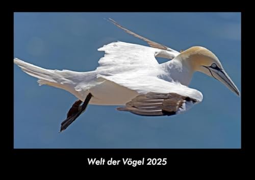 Welt der Vögel 2025 Fotokalender DIN A3: Monatskalender mit Bild-Motiven von Haustieren, Bauernhof, wilden Tieren und Raubtieren Welt der Vögel 2025 Fotokalender DIN A3: Monatskalender mit Bild-Motiven von Haustieren, Bauernhof, wilden Tieren und Raubtieren
