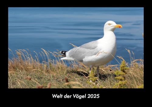 Welt der Vögel 2025 Fotokalender DIN A3: Monatskalender mit Bild-Motiven von Haustieren, Bauernhof, wilden Tieren und Raubtieren Welt der Vögel 2025 Fotokalender DIN A3: Monatskalender mit Bild-Motiven von Haustieren, Bauernhof, wilden Tieren und Raubtieren