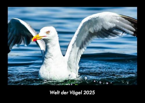 Welt der Vögel 2025 Fotokalender DIN A3: Monatskalender mit Bild-Motiven von Haustieren, Bauernhof, wilden Tieren und Raubtieren Welt der Vögel 2025 Fotokalender DIN A3: Monatskalender mit Bild-Motiven von Haustieren, Bauernhof, wilden Tieren und Raubtieren