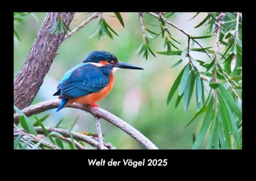 Welt der Vögel 2025 Fotokalender DIN A3: Monatskalender mit Bild-Motiven von Haustieren, Bauernhof, wilden Tieren und Raubtieren Welt der Vögel 2025 Fotokalender DIN A3: Monatskalender mit Bild-Motiven von Haustieren, Bauernhof, wilden Tieren und Raubtieren