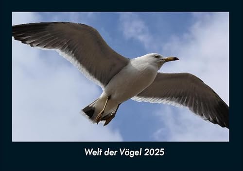 Welt der Vögel 2025 Fotokalender DIN A4: Monatskalender mit Bild-Motiven von Haustieren, Bauernhof, wilden Tieren und Raubtieren Welt der Vögel 2025 Fotokalender DIN A4: Monatskalender mit Bild-Motiven von Haustieren, Bauernhof, wilden Tieren und Raubtieren