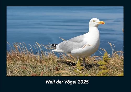 Welt der Vögel 2025 Fotokalender DIN A4: Monatskalender mit Bild-Motiven von Haustieren, Bauernhof, wilden Tieren und Raubtieren Welt der Vögel 2025 Fotokalender DIN A4: Monatskalender mit Bild-Motiven von Haustieren, Bauernhof, wilden Tieren und Raubtieren