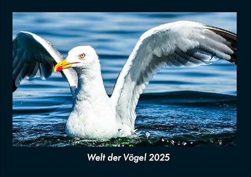 Welt der Vögel 2025 Fotokalender DIN A4: Monatskalender mit Bild-Motiven von Haustieren, Bauernhof, wilden Tieren und Raubtieren Welt der Vögel 2025 Fotokalender DIN A4: Monatskalender mit Bild-Motiven von Haustieren, Bauernhof, wilden Tieren und Raubtieren