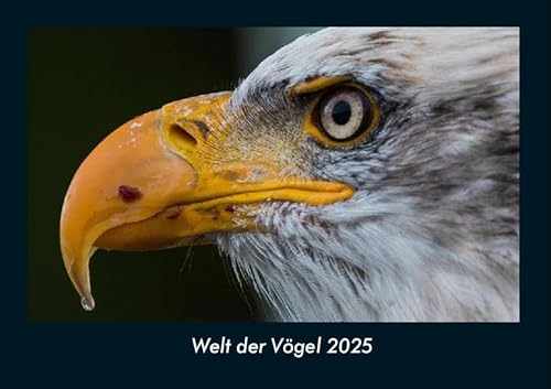 Welt der Vögel 2025 Fotokalender DIN A4: Monatskalender mit Bild-Motiven von Haustieren, Bauernhof, wilden Tieren und Raubtieren Welt der Vögel 2025 Fotokalender DIN A4: Monatskalender mit Bild-Motiven von Haustieren, Bauernhof, wilden Tieren und Raubtieren