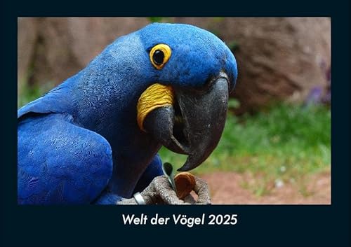 Welt der Vögel 2025 Fotokalender DIN A4: Monatskalender mit Bild-Motiven von Haustieren, Bauernhof, wilden Tieren und Raubtieren Welt der Vögel 2025 Fotokalender DIN A4: Monatskalender mit Bild-Motiven von Haustieren, Bauernhof, wilden Tieren und Raubtieren