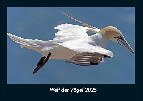 Welt der Vögel 2025 Fotokalender DIN A4: Monatskalender mit Bild-Motiven von Haustieren, Bauernhof, wilden Tieren und Raubtieren Welt der Vögel 2025 Fotokalender DIN A4: Monatskalender mit Bild-Motiven von Haustieren, Bauernhof, wilden Tieren und Raubtieren