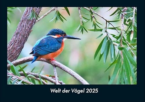 Welt der Vögel 2025 Fotokalender DIN A4: Monatskalender mit Bild-Motiven von Haustieren, Bauernhof, wilden Tieren und Raubtieren Welt der Vögel 2025 Fotokalender DIN A4: Monatskalender mit Bild-Motiven von Haustieren, Bauernhof, wilden Tieren und Raubtieren
