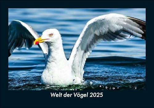 Welt der Vögel 2025 Fotokalender DIN A5: Monatskalender mit Bild-Motiven von Haustieren, Bauernhof, wilden Tieren und Raubtieren Welt der Vögel 2025 Fotokalender DIN A5: Monatskalender mit Bild-Motiven von Haustieren, Bauernhof, wilden Tieren und Raubtieren